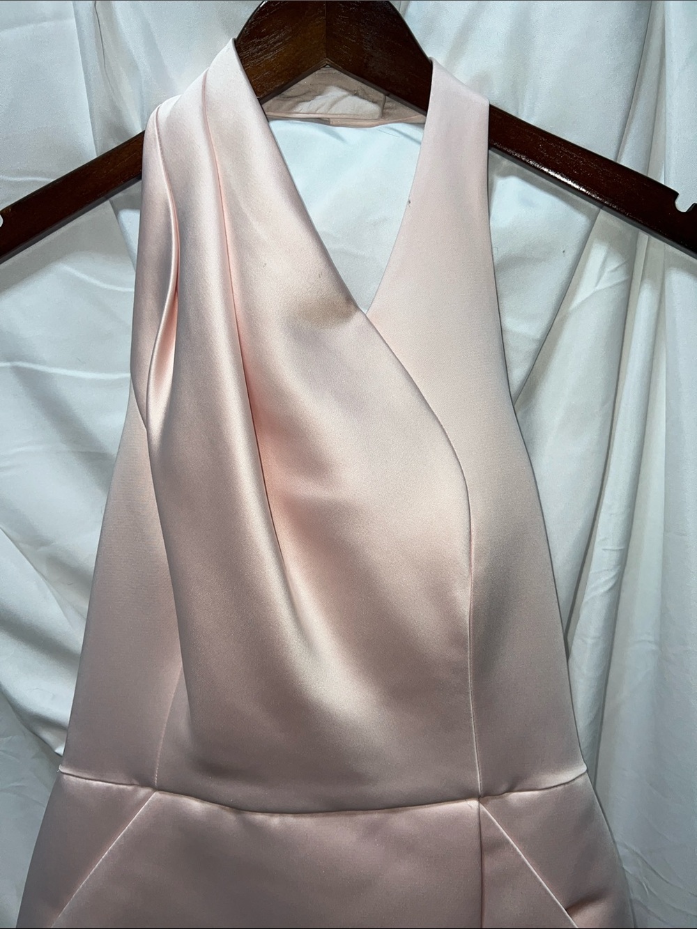 Halston Heritage Blush Pink Dress - Picture 4 of 11